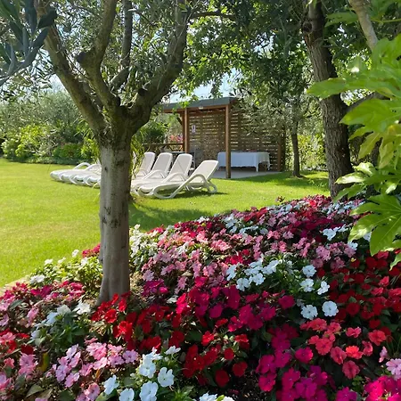 Agricampeggio Oasi Del Garda 营地 拉齐塞