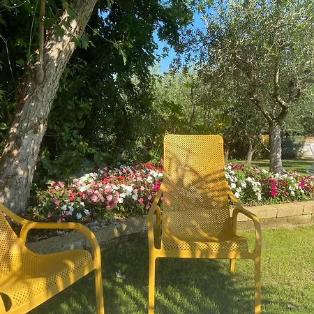 Agricampeggio Oasi Del Garda 营地 *