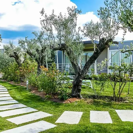 Agricampeggio Oasi Del Garda 拉齐塞