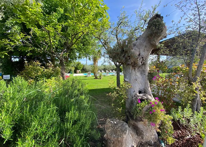 Agricampeggio Oasi Del Garda Camping *