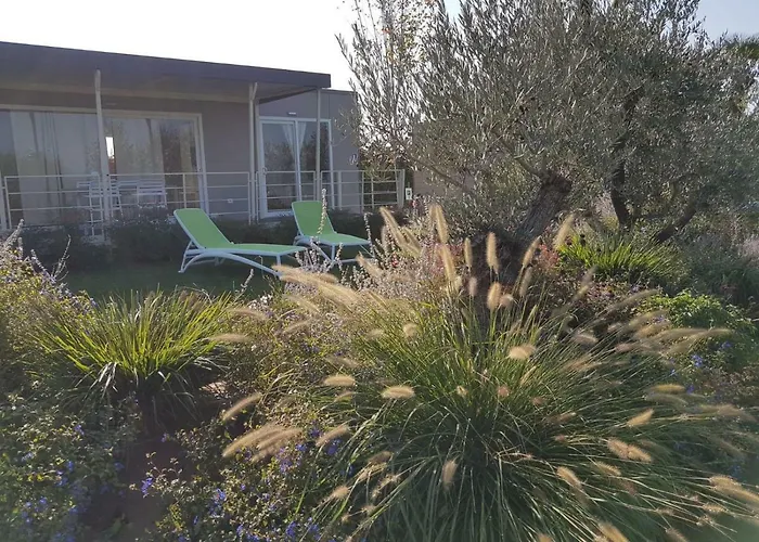 Agricampeggio Oasi Del Garda * Lazise